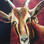 HippiGoat1_JensJosefsen