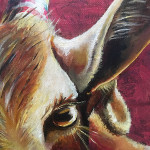 HippiGoat3_JensJosefsen